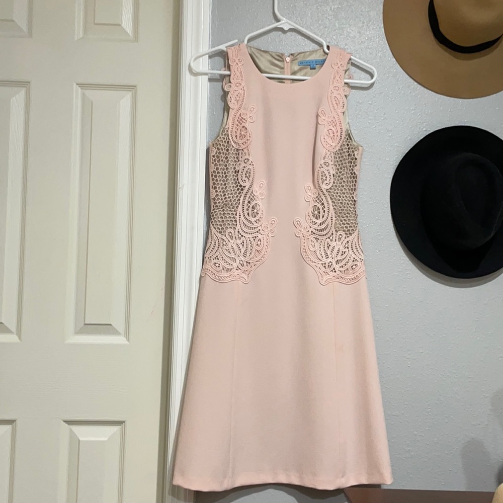 Blush dress, fitted women’s dress, business casual